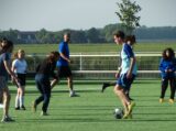 Laatste training S.K.N.W.K. JO11-1JM van seizoen 2022-2023 (partijtje tegen de ouders) (133/221)